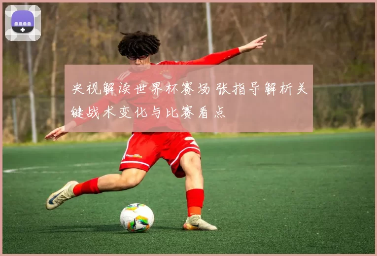央视解读世界杯赛场 张指导解析关键战术变化与比赛看点