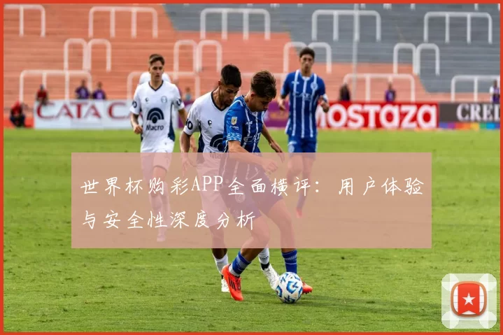 世界杯购彩APP全面横评:用户体验与安全性深度分析