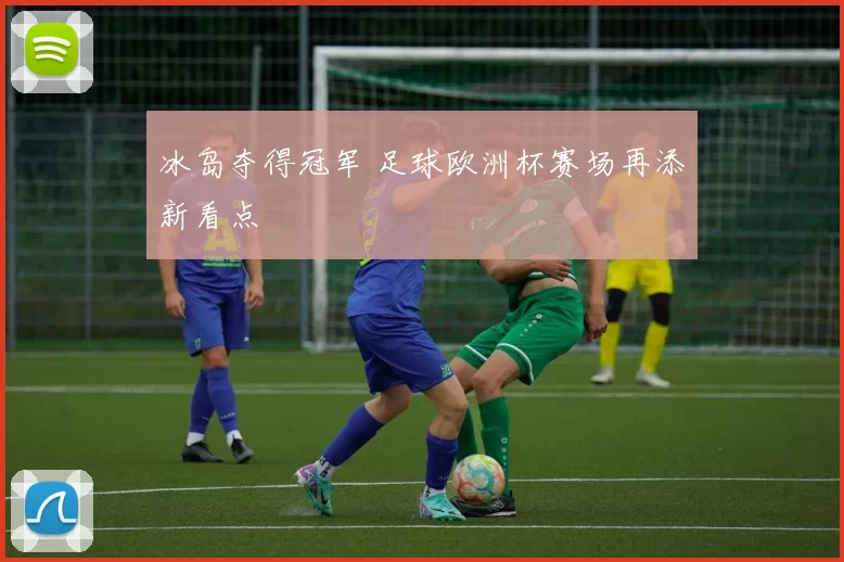 冰岛夺得冠军 足球欧洲杯赛场再添新看点