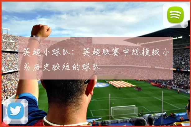 英超小球队：英超联赛中规模较小或历史较短的球队