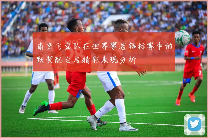 南京飞盘队在世界攀岩锦标赛中的默契配合与精彩表现分析