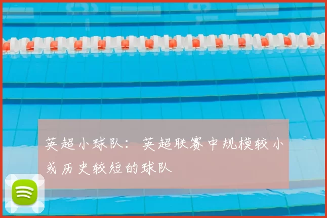 英超小球队：英超联赛中规模较小或历史较短的球队