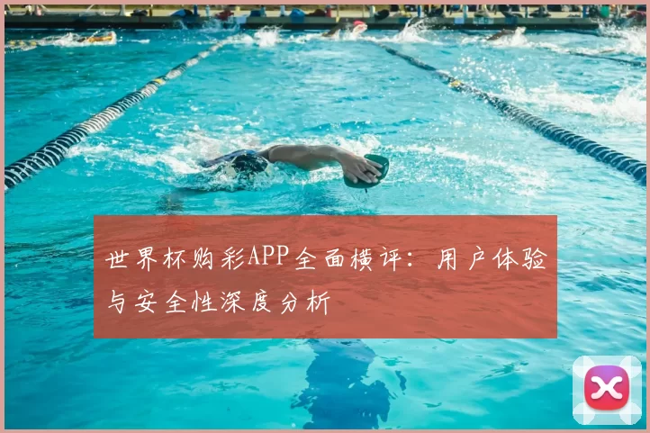 世界杯购彩APP全面横评：用户体验与安全性深度分析