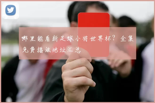 哪里能看新足球小将世界杯?全集免费播放地址汇总
