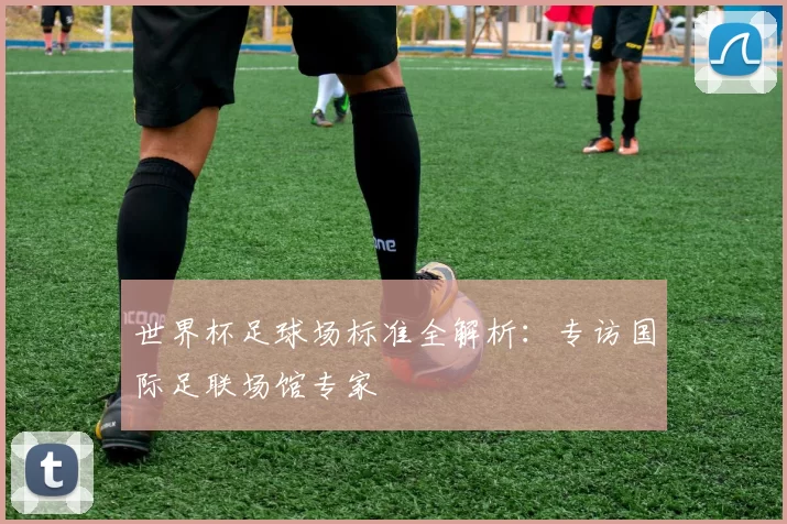 世界杯足球场标准全解析：专访国际足联场馆专家