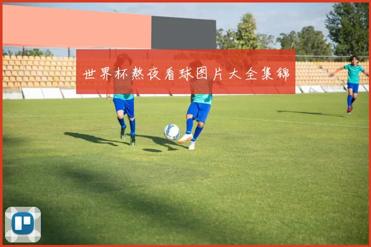 世界杯熬夜看球图片大全集锦