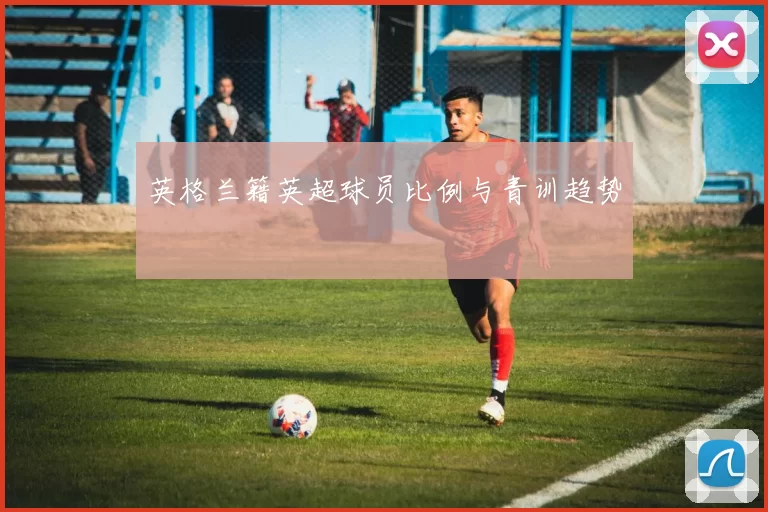 英格兰籍英超球员比例与青训趋势