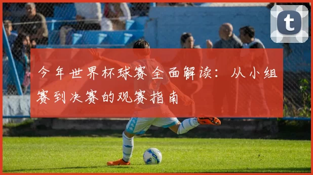 今年世界杯球赛全面解读:从小组赛到决赛的观赛指南