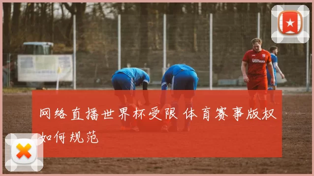 网络直播世界杯受限 体育赛事版权如何规范