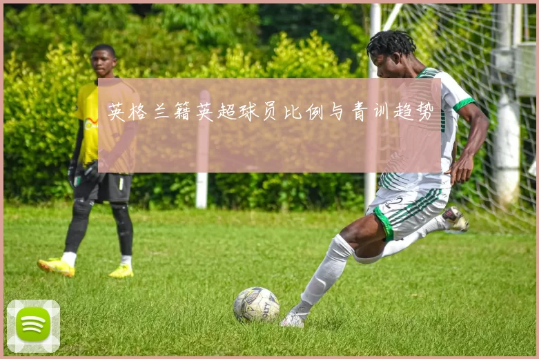 英格兰籍英超球员比例与青训趋势