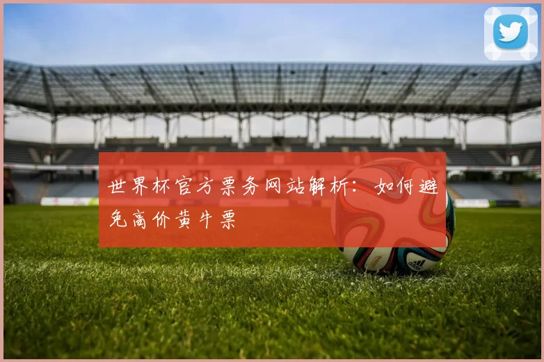 世界杯官方票务网站解析:如何避免高价黄牛票