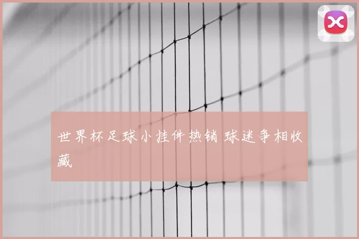世界杯足球小挂件热销 球迷争相收藏