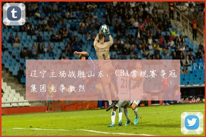 辽宁主场战胜山东,CBA常规赛争冠集团竞争激烈
